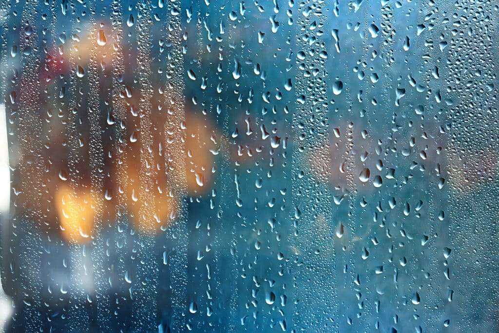 rainy window