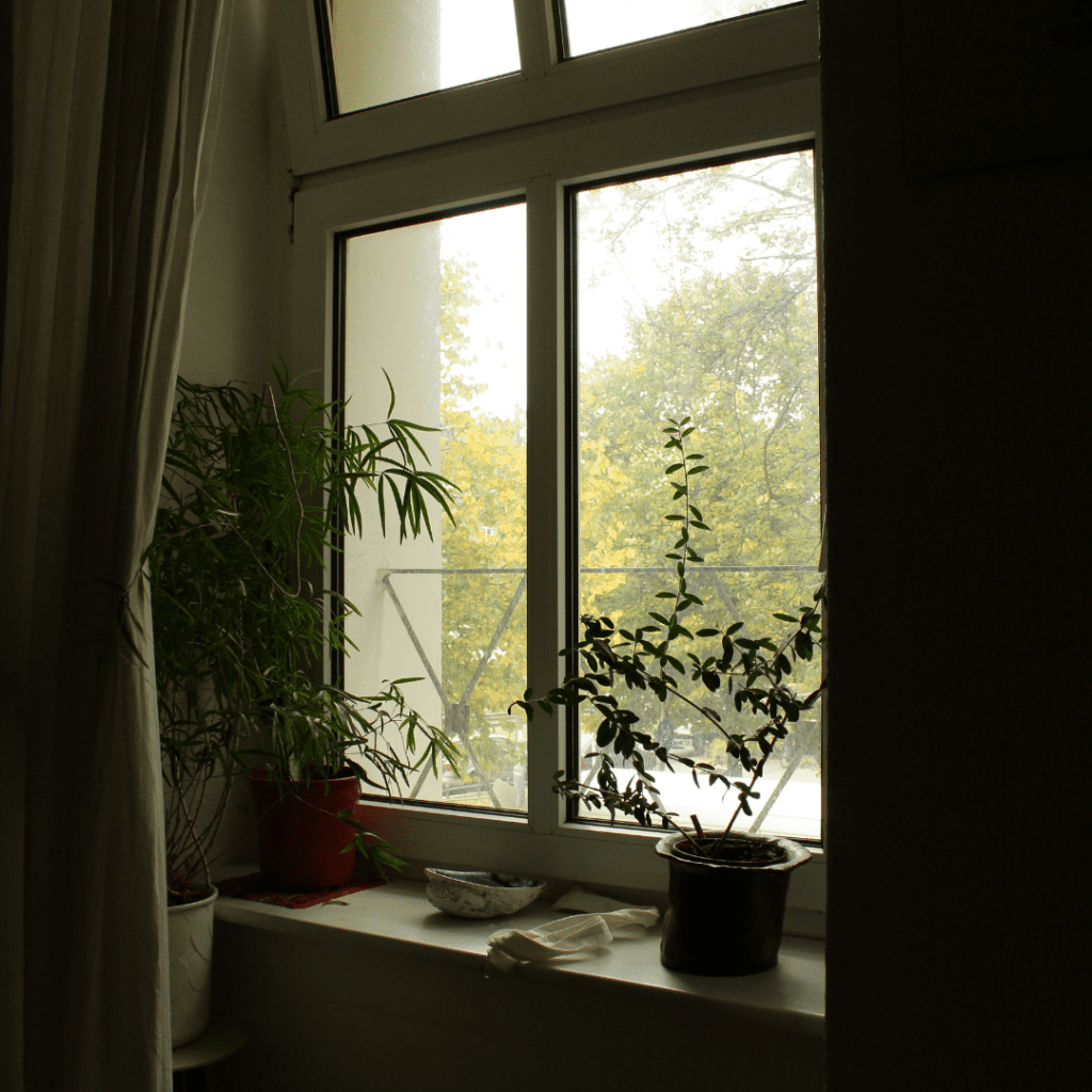 house window
